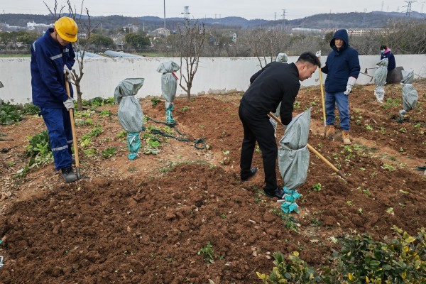 春雨润沃野，不误农时不负春——南京海中组织开展义务种植劳动